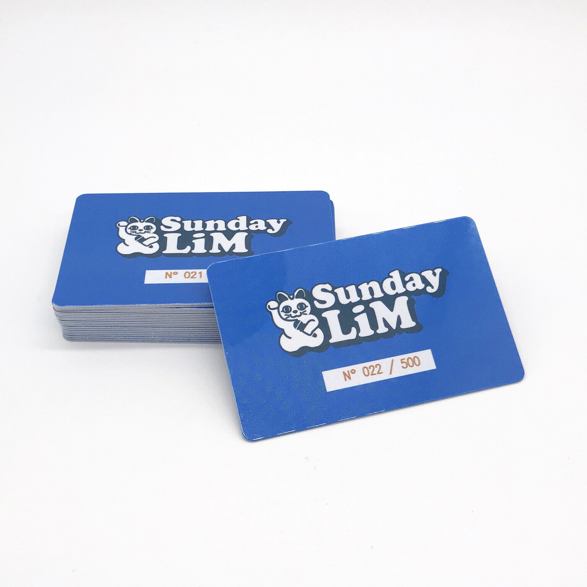 Customized Plastic Loyalty gift card with numbers