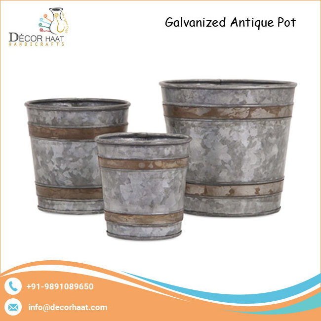 Top Quality Garden Use Antique Garden Supplier of Galvanized Metal Flower Pot at Bulk Price