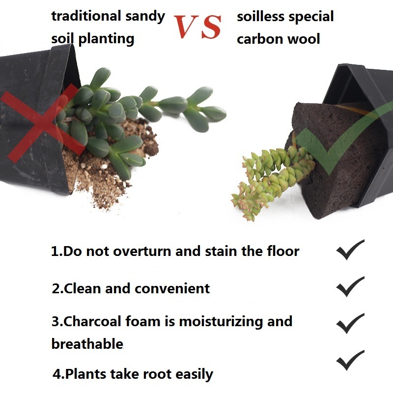 Biochar Sponge Soilless Succulent Planting Sponge Nutrition Substrate Garden Hydroponic Seed Starter Plugs