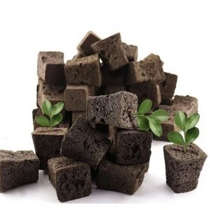 Biochar Sponge Soilless Succulent Planting Sponge Nutrition Substrate Garden Hydroponic Seed Starter Plugs