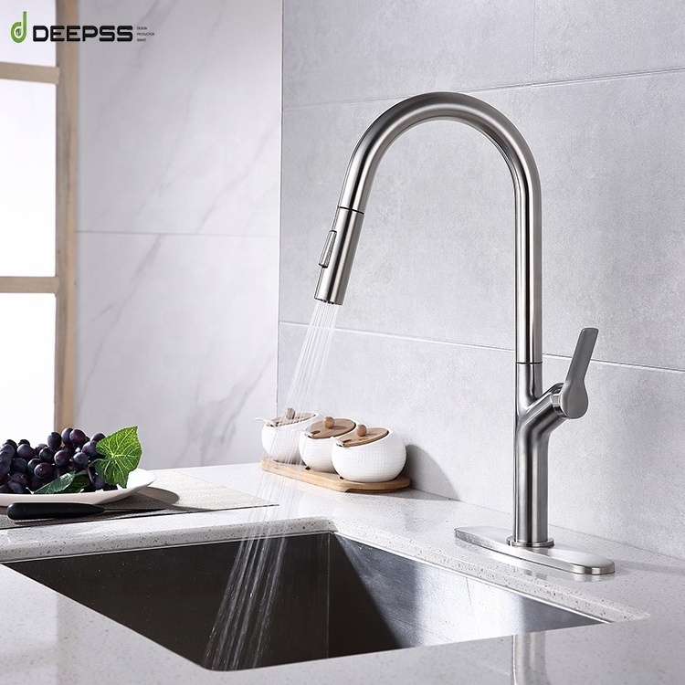 Deepss UPC Certified Lift Faucet Pull Out Boiling Water Tap Stainless Steel Kitchen Faucet