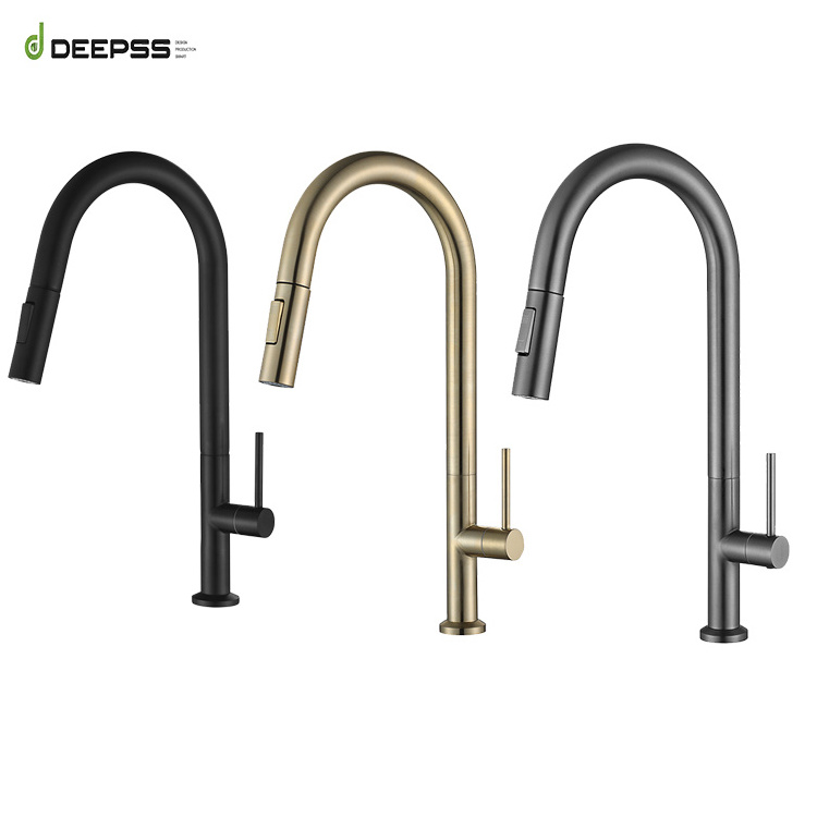 Deepss Modern Style Torneira Copper Cold Water Sink Faucets Pull Out Filter Taps Flexible Black 304 SUS Faucet Kitchen