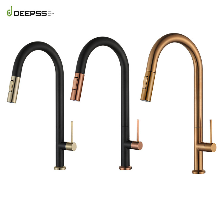 Deepss Modern Style Torneira Copper Cold Water Sink Faucets Pull Out Filter Taps Flexible Black 304 SUS Faucet Kitchen