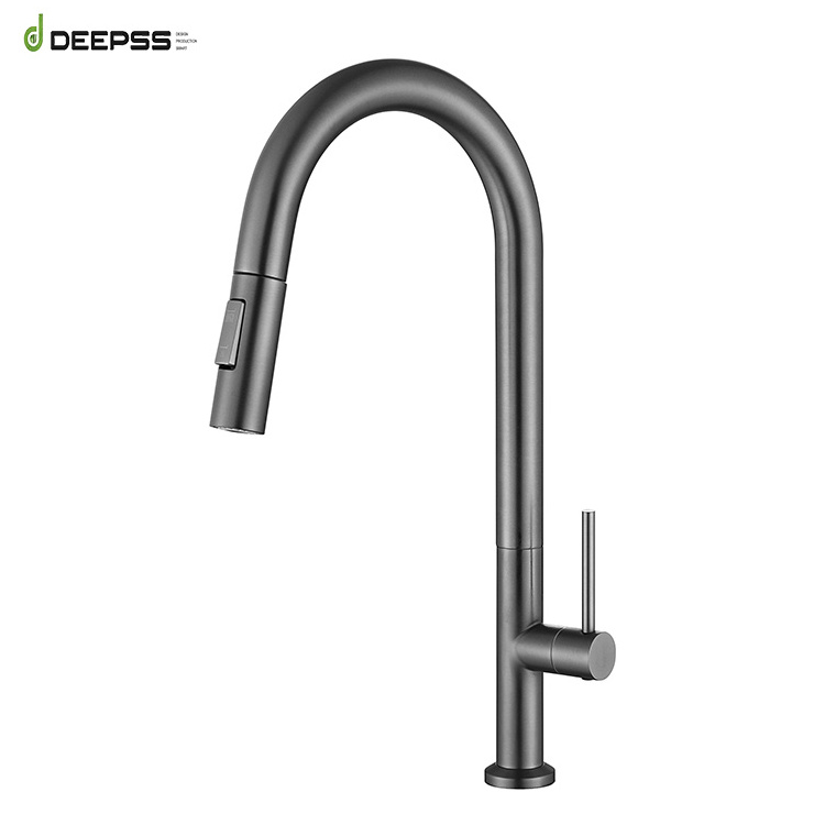 Deepss Modern Style Torneira Copper Cold Water Sink Faucets Pull Out Filter Taps Flexible Black 304 SUS Faucet Kitchen