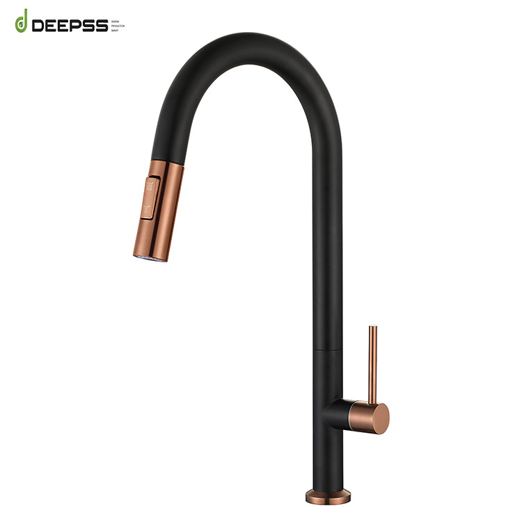 Deepss Modern Style Torneira Copper Cold Water Sink Faucets Pull Out Filter Taps Flexible Black 304 SUS Faucet Kitchen