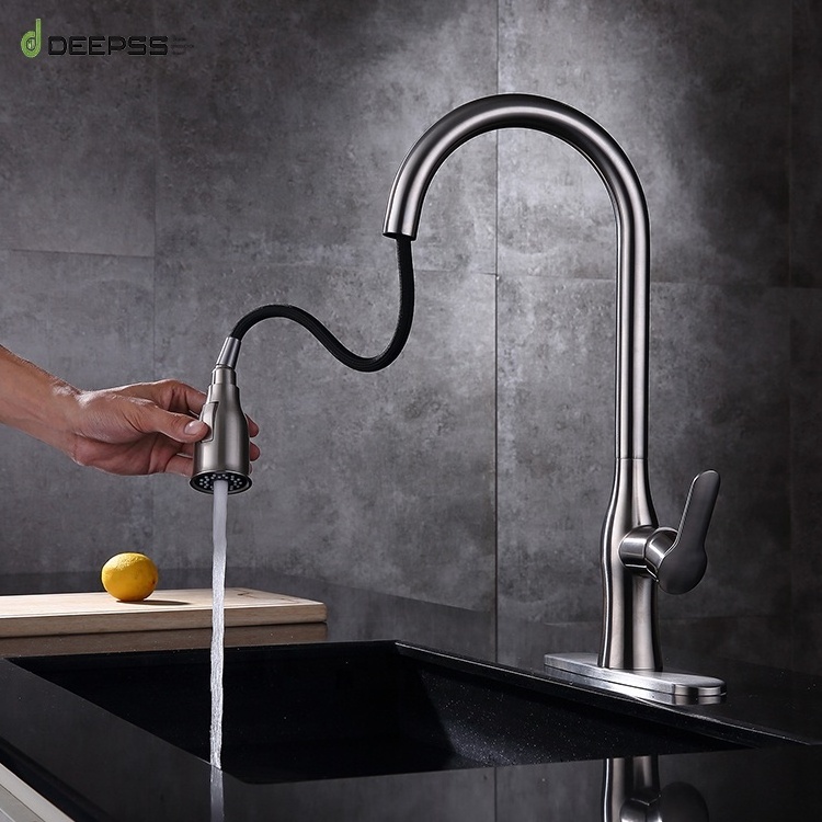 Deepss Luxury 304 Stainless Steel Pull-Out Tap Water Filter System Kitchen Faucet Design