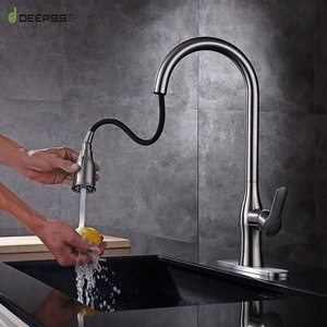 Deepss Luxury 304 Stainless Steel Pull-Out Tap Water Filter System Kitchen Faucet Design