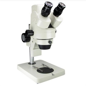 Popular Phenix scanning electron digital microscope XTL-165