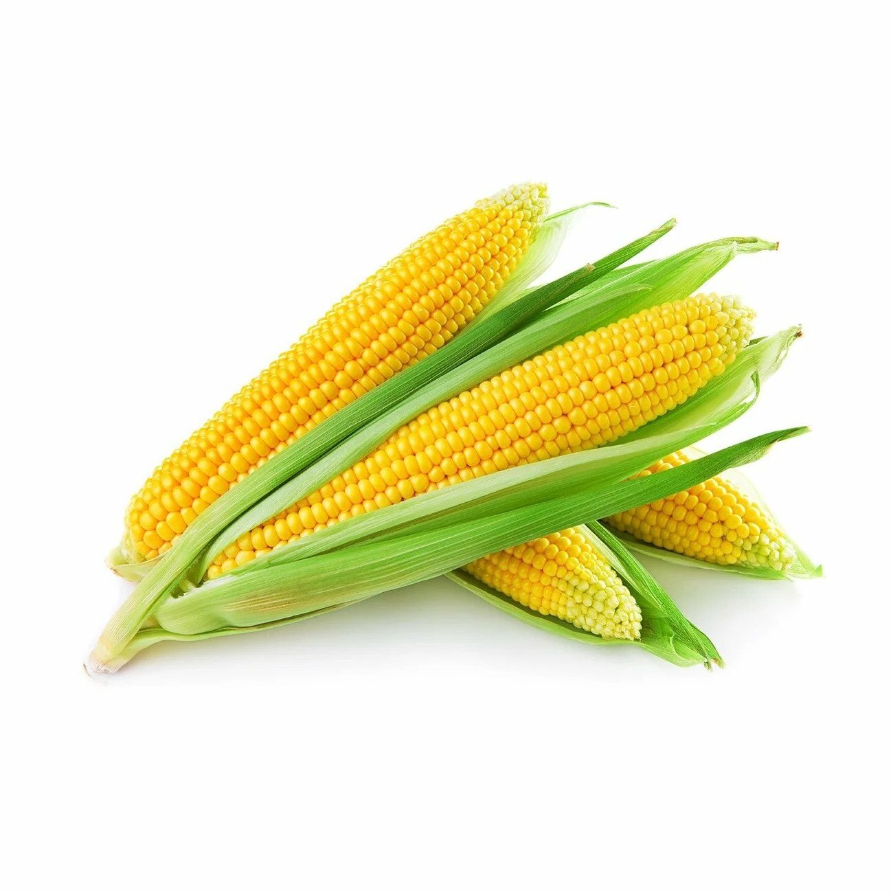 wholesale non-GMO high-quality  vacuum-sealed fruit yellow corn sweet corn