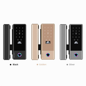 Wholesale Digital Card Fingerprint Tuya App Ttlock Intelligent Sliding Door Smart Glass Door Lock