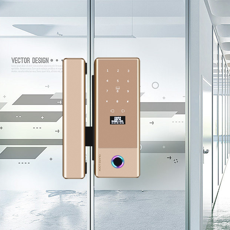 Wholesale Digital Card Fingerprint Tuya App Ttlock Intelligent Sliding Door Smart Glass Door Lock