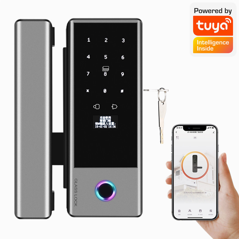 Wholesale Digital Card Fingerprint Tuya App Ttlock Intelligent Sliding Door Smart Glass Door Lock