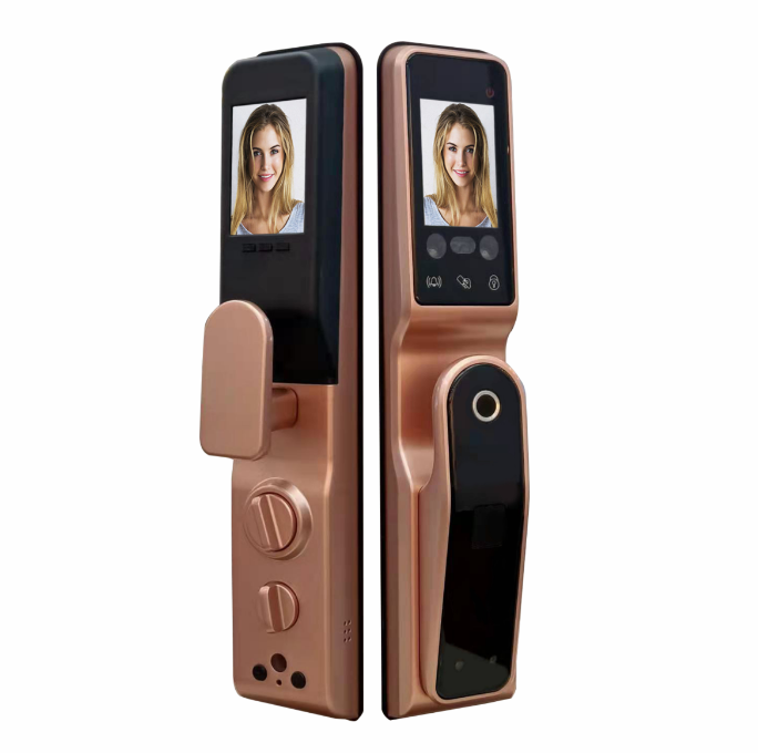 Factory OEM Tuya Wifi Fingerprint Face Recognition Automatic 3D Face Capture Function Smart Door Lock with Camera and Screen