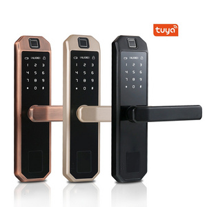 High Quality Usb Card Smart Home System Electrical Panel Mortise Lock Wifi Lock with Handles