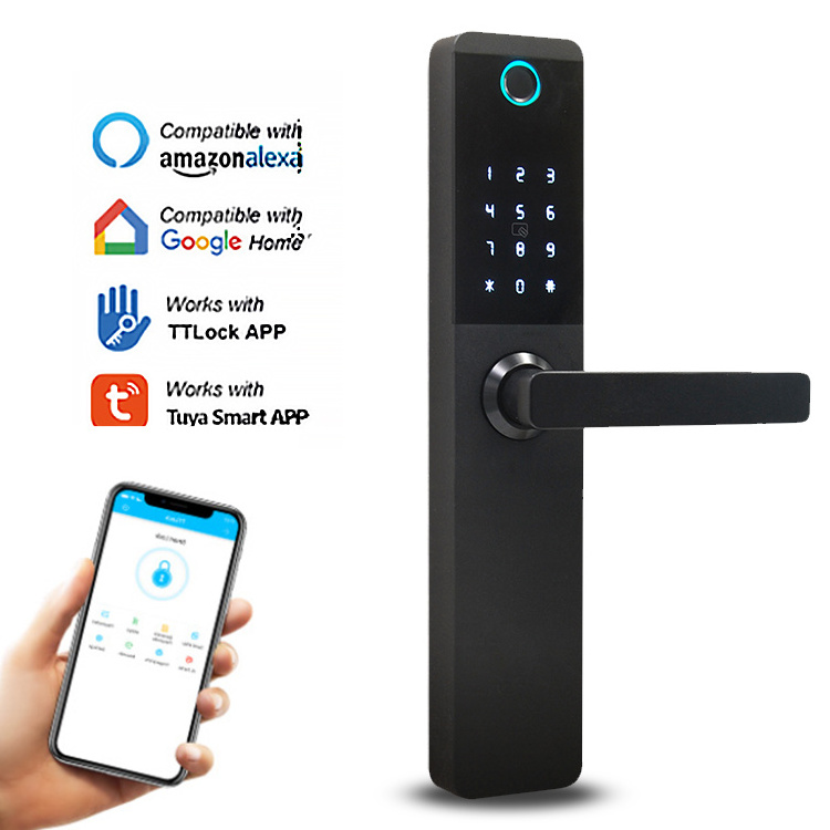 Biometric Wireless Morties Outdoor Fingerprint Ttlock Electromagnetic Zigbee Rfid Smart Door Lock for Hotel Apartment