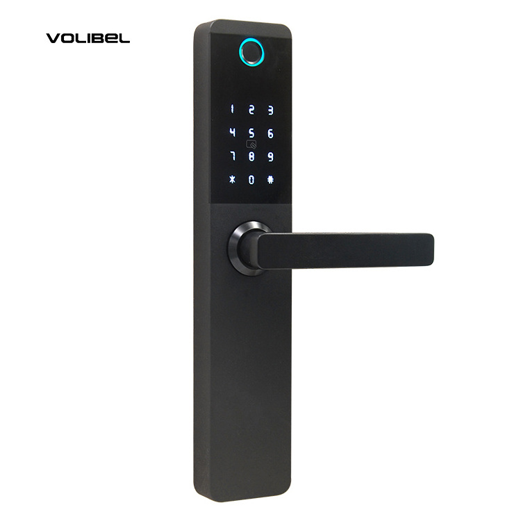 Biometric Wireless Morties Outdoor Fingerprint Ttlock Electromagnetic Zigbee Rfid Smart Door Lock for Hotel Apartment