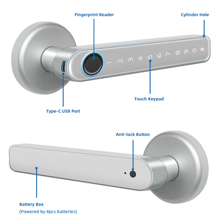 Keyless Entry Handle Black Sliver Biometric Room Smart Fingerprint Door Lock for Storage Bedroom