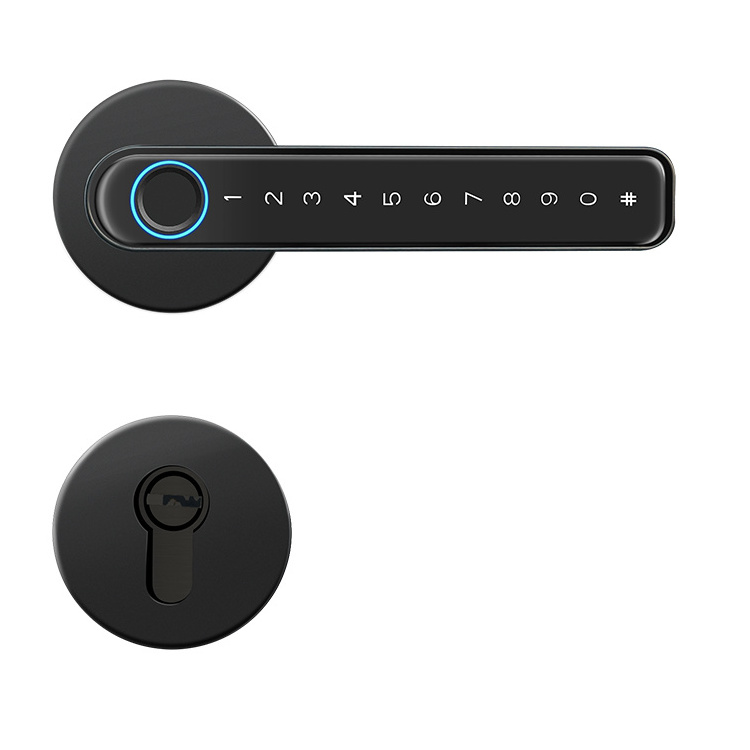 Keyless Entry Handle Black Sliver Biometric Room Smart Fingerprint Door Lock for Storage Bedroom