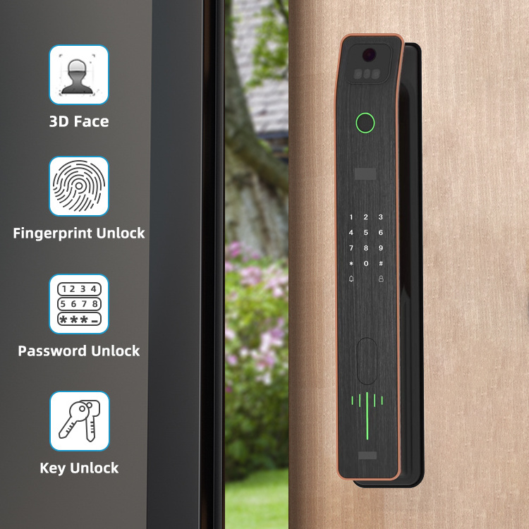 Home Gate Apartment Fingerprint WiFi Keyless Entry Security Electronic Face Recognition Door Lock