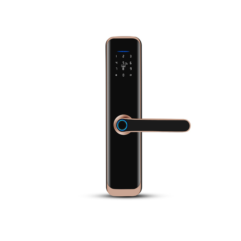 High Quality App Keyless Wholesale Fingerprint Smart Intelligent Door Lock Smart Home Tuya Ttlock Digital Smart Lock