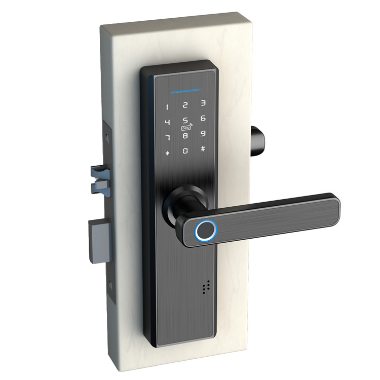 High Quality Apartment Biometric Fingerprint Wifi Electric Door Locks Keyless Magnetic Card Home Door Lock for Wood Door