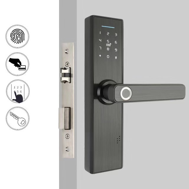 High Quality Apartment Biometric Fingerprint Wifi Electric Door Locks Keyless Magnetic Card Home Door Lock for Wood Door