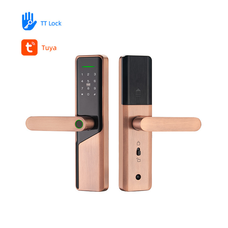 Intelligent Biometric Door Handle Security Digital Keyless Lock Wifi App Smart Door Lock without Tuya Ttlock Fingerprint