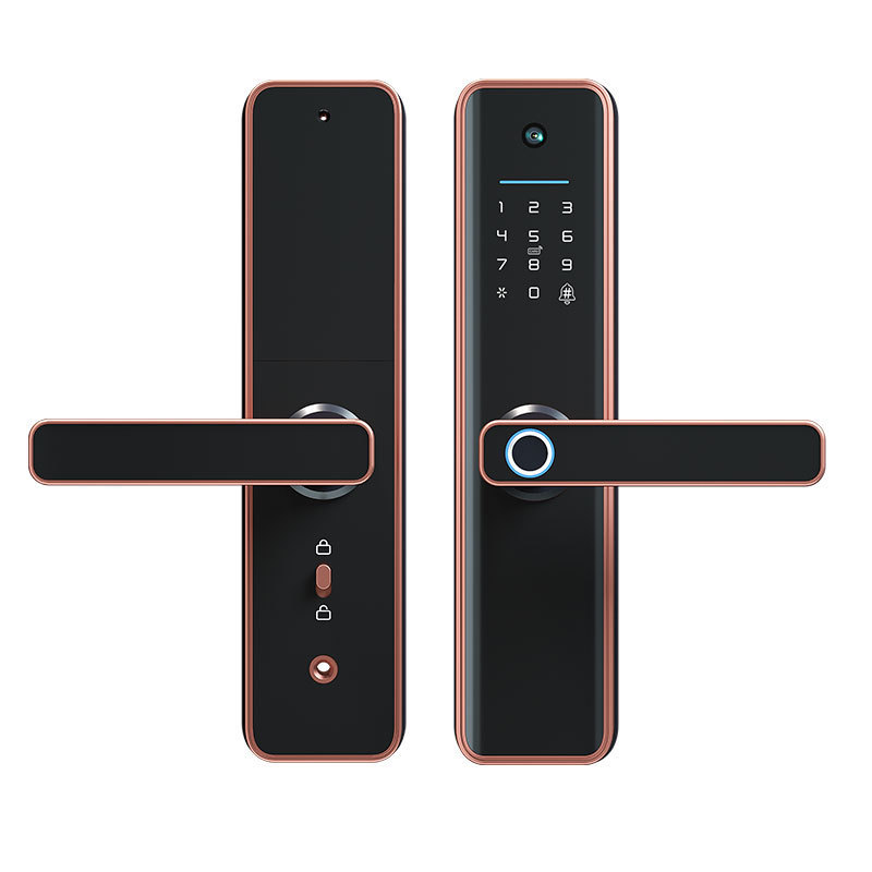 Wifi Biometric Fingerprint Home Tuya Smart American Door Lock Handle Magnet Door Lock