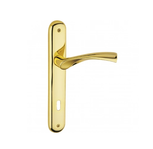 Modern Style Steel and Stainless Steel Interior Door Lever Plate Handle with 50mm Backset Locking Function for Door Lock