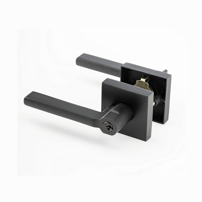 Hot Selling 65 70 75 80 mm Zinc Alloy and ABS Door Lever Handle Lock for Residential and Commercial Use with 60mm Backset