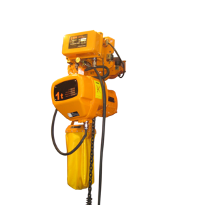 Crane Used 2 Ton 3Ton 5Ton Electric Chain Hoist Price