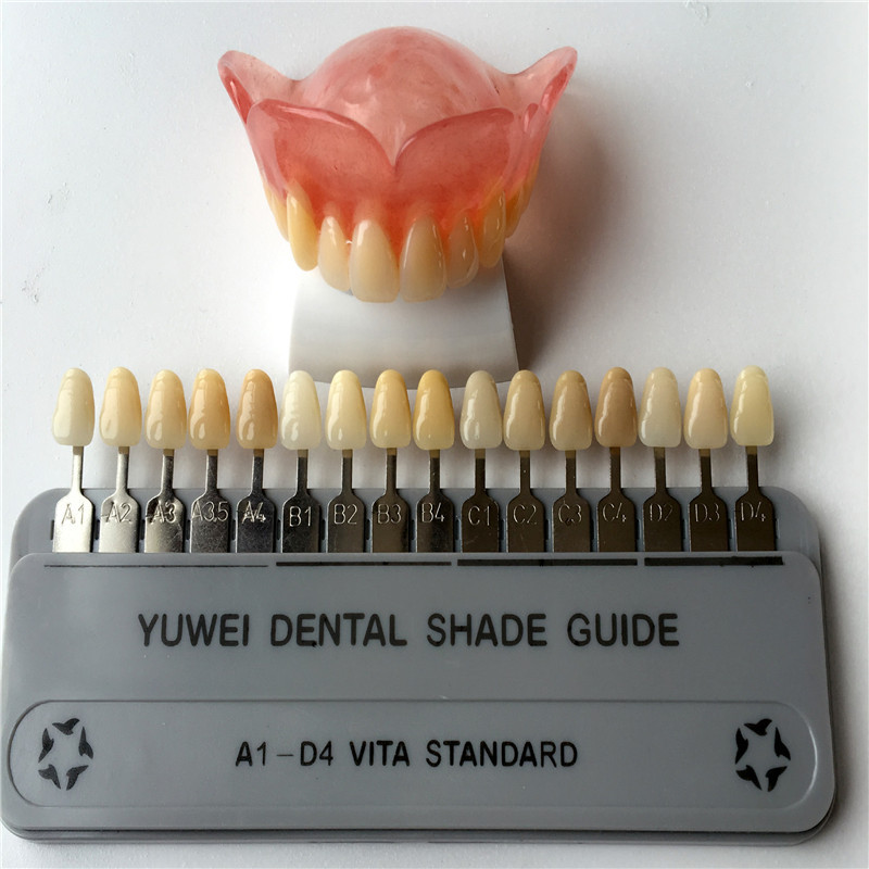 Dental factory Synthetic Resin Teeth Acrylic resin Teeth Acrylic Denture Teeth