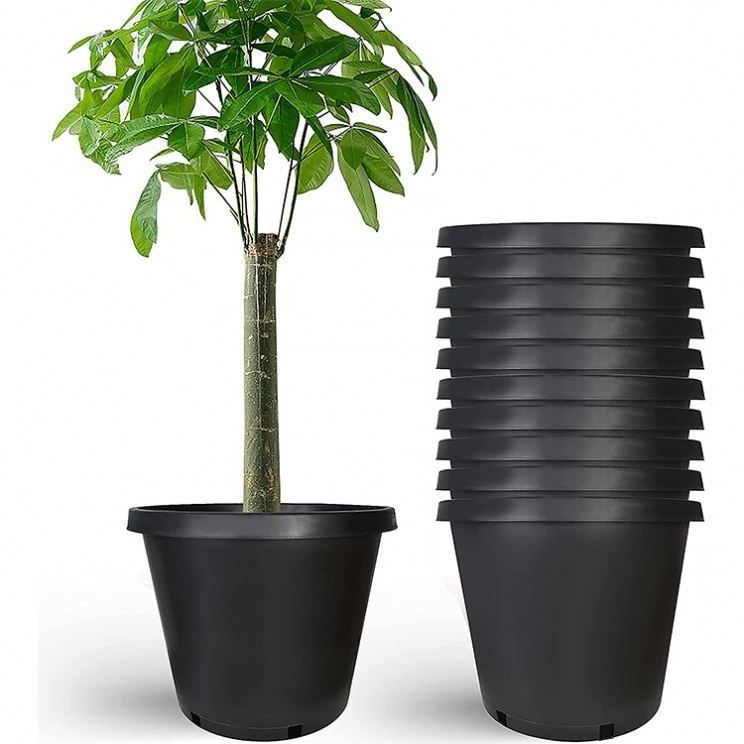 Black Plant Grow Nursery Pot Plastic Recycle 25 20 15 10 7 5 4 3 2 1 Gallon plastic pots for nursery plants