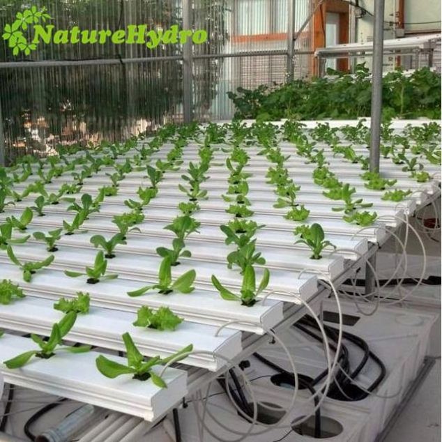 Best Price Hydro 4-16 Commercial Hydroponic Cheap Nft System Manufacturer