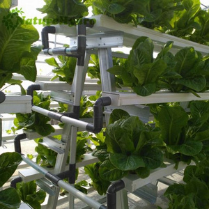 Best Price Hydro 4-16 Commercial Hydroponic Cheap Nft System Manufacturer