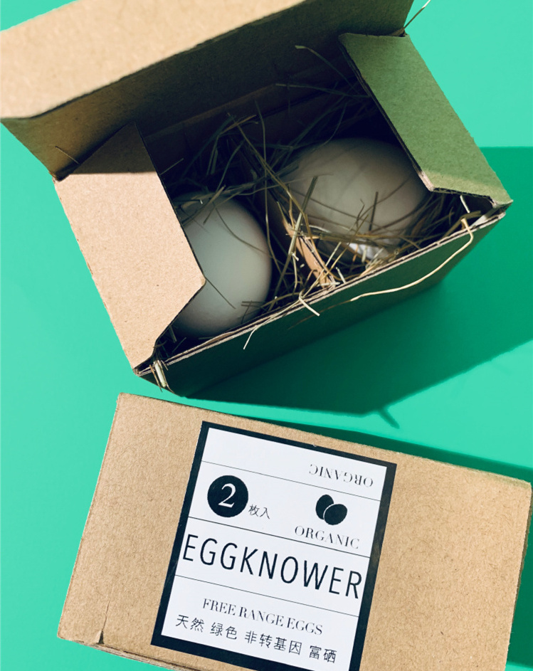 Eco Friendly Biodegradable Custom Printed Paper Easter Quail Goose 6 Duck Coloured Chicken Egg Packaging Cartons 3x4 Tray  Box