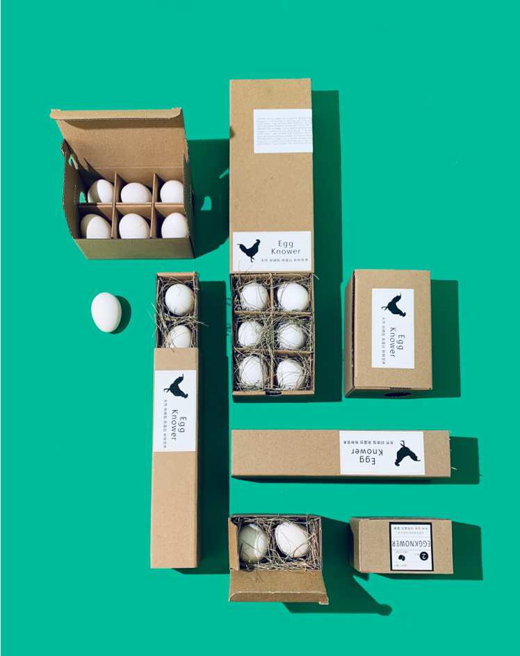 Eco Friendly Biodegradable Custom Printed Paper Easter Quail Goose 6 Duck Coloured Chicken Egg Packaging Cartons 3x4 Tray  Box