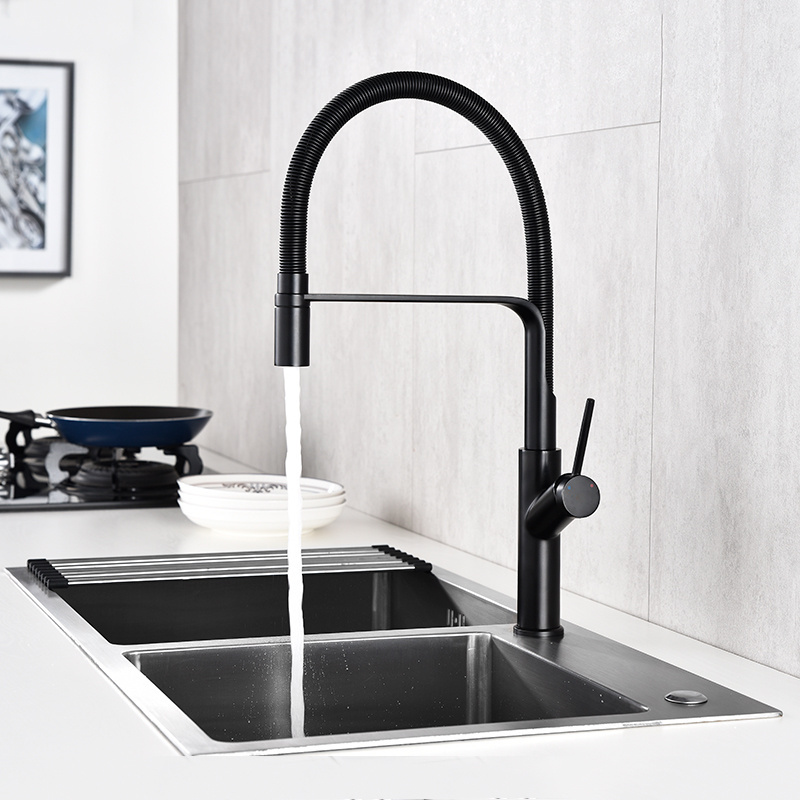 Single Handle Kitchen Faucet Sprayer Spring Tube Faucet Mixer Sink Taps Black Tube Pull Down Contemporary Ceramic Polished Matte