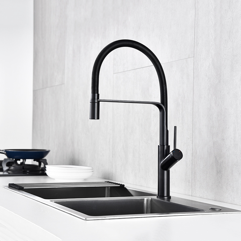 Single Handle Kitchen Faucet Sprayer Spring Tube Faucet Mixer Sink Taps Black Tube Pull Down Contemporary Ceramic Polished Matte