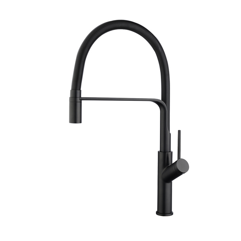 Single Handle Kitchen Faucet Sprayer Spring Tube Faucet Mixer Sink Taps Black Tube Pull Down Contemporary Ceramic Polished Matte