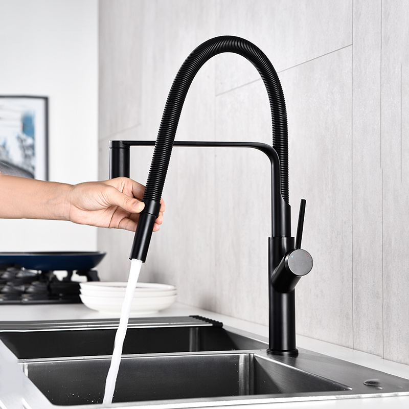 Single Handle Kitchen Faucet Sprayer Spring Tube Faucet Mixer Sink Taps Black Tube Pull Down Contemporary Ceramic Polished Matte