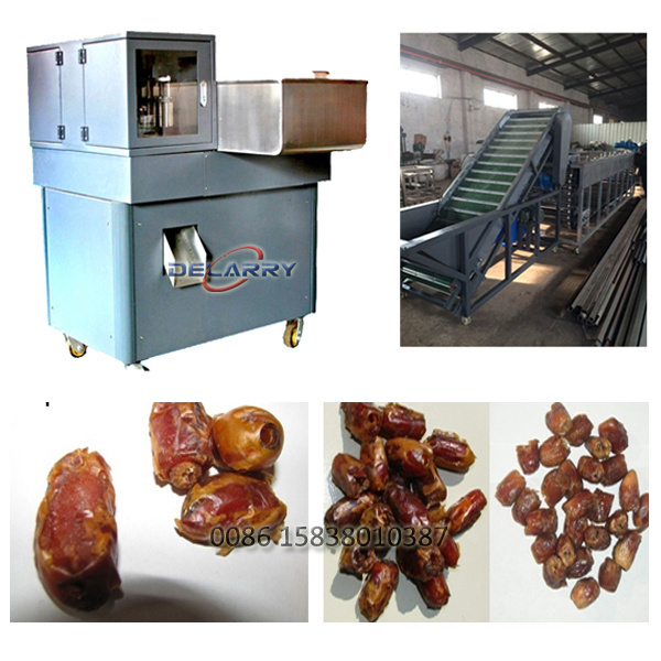 Commercial Palm Dates Pitting Machine Fruit Pitting Machine Jujube Seeds Removing Machine