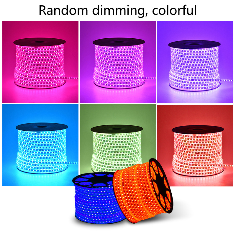 AC 110V 220v Flexible Led Strip Light IP67 outdoor Waterproof 5050 RGB Color Changing led light strip cinta led rgb