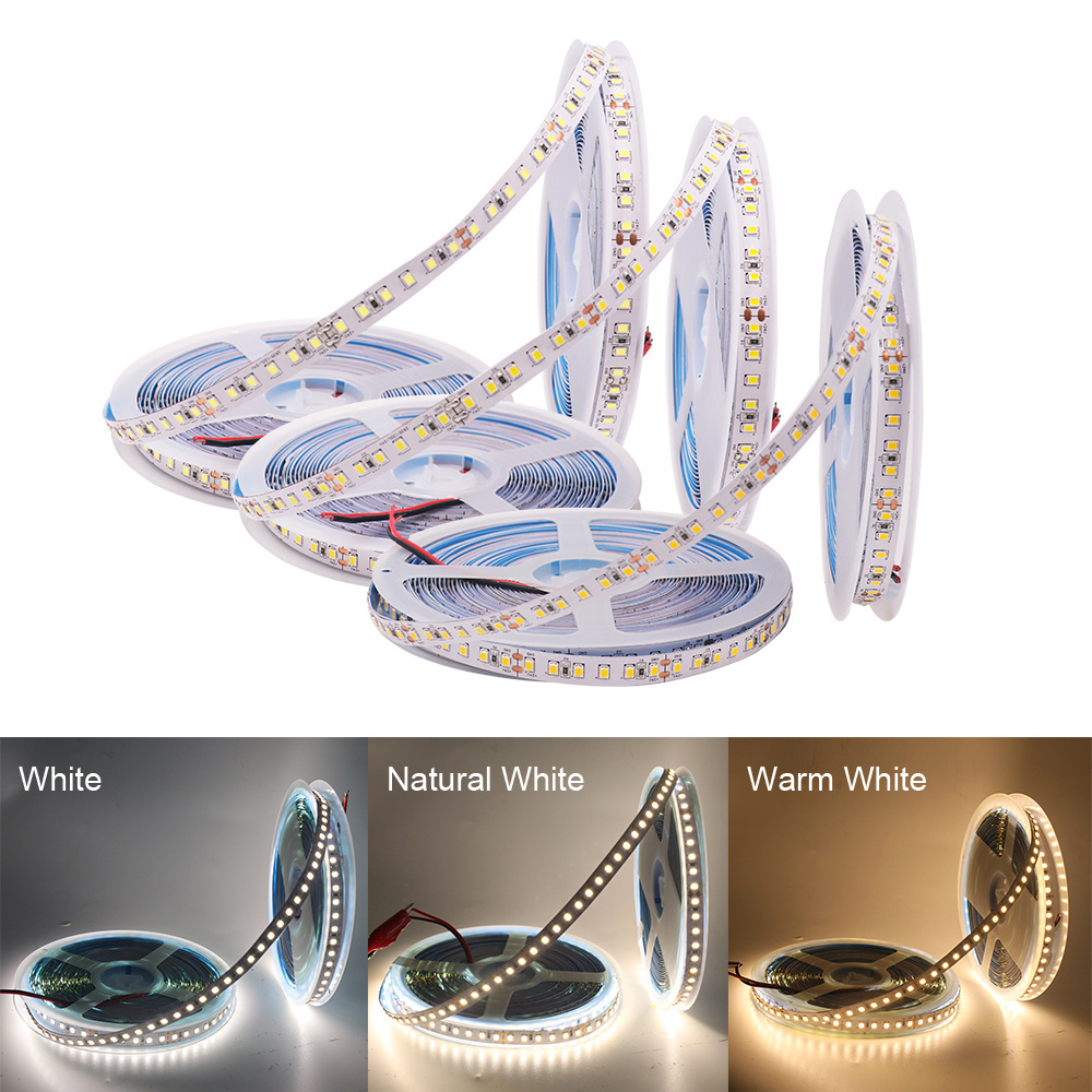 Holiday Light Led Strip 2835  ce rohs 5 year warranty 3000k 4000k 6000k 24v 12v led strip light