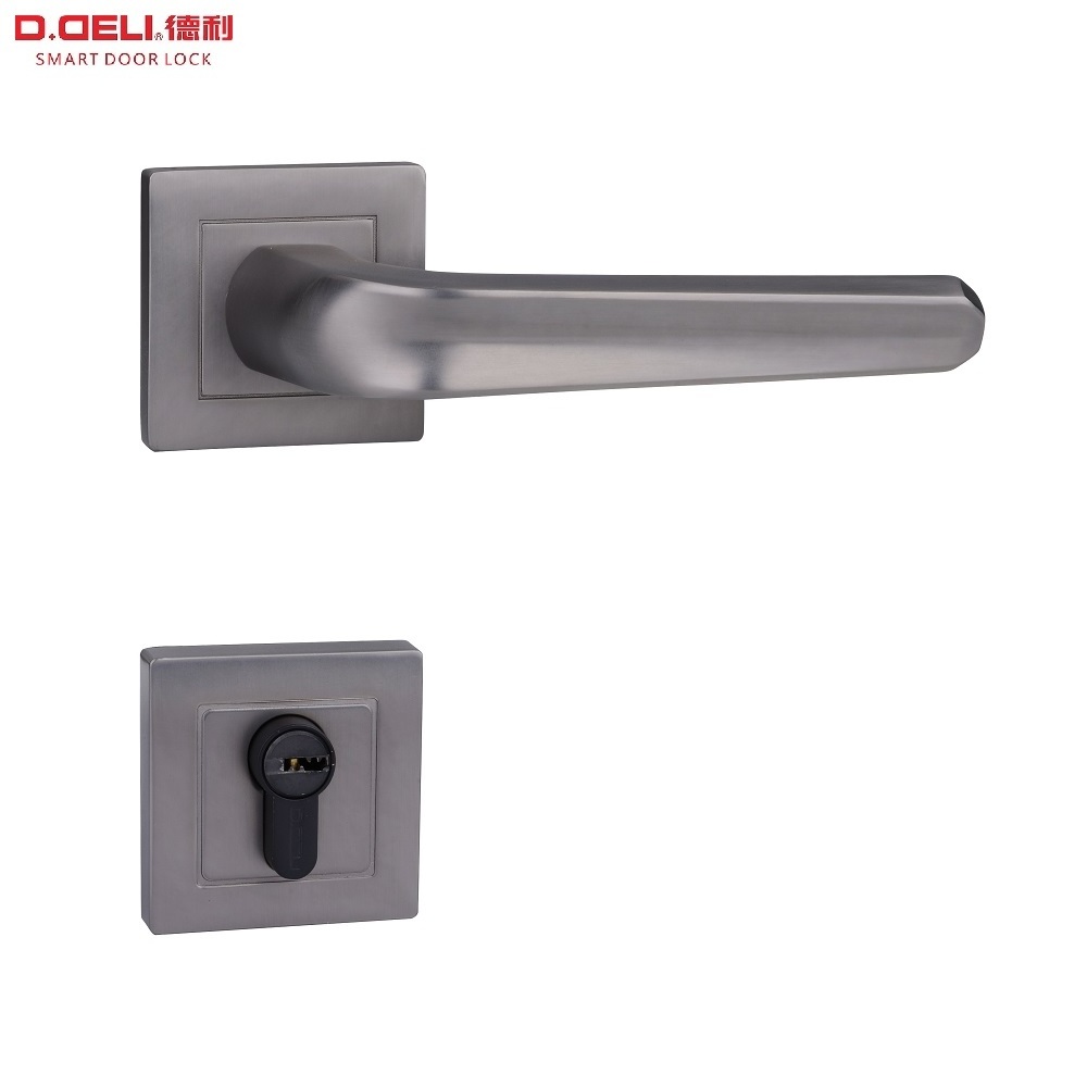 DELI High Security Door Handle Lock Classroom Office Handle Lever Lock Set Zinc Alloy Door Lock