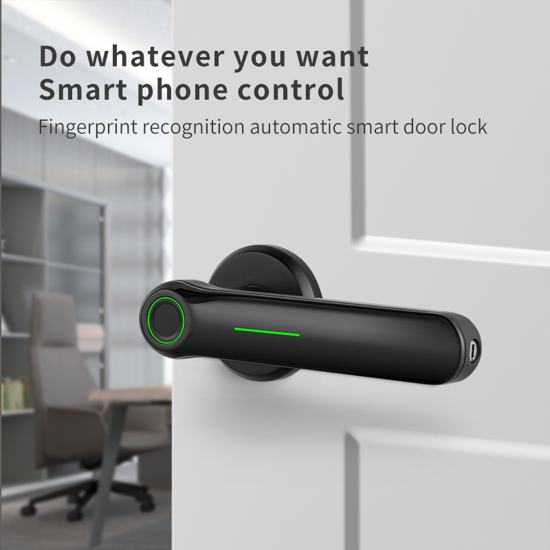 D.DELI Smart Indoor Bedroom Handle Lock WiFi TTLock Smart Wooden Door Lock Fingerprint Bluetooth APP Intelligent Lock