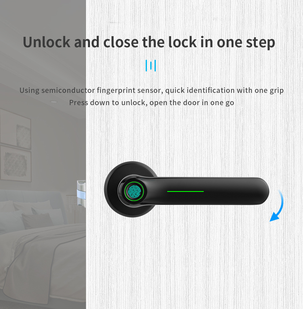 D.DELI Smart Indoor Bedroom Handle Lock WiFi TTLock Smart Wooden Door Lock Fingerprint Bluetooth APP Intelligent Lock