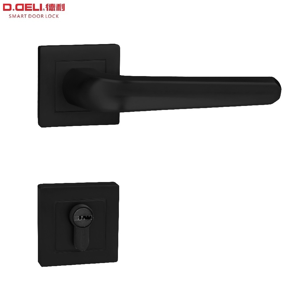 DELI High Security Door Handle Lock Classroom Office Handle Lever Lock Set Zinc Alloy Door Lock