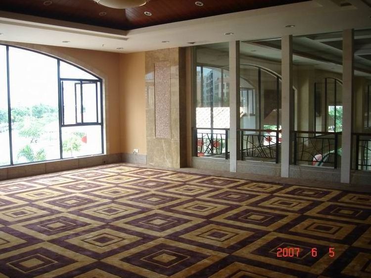 Special design alibaba nepali new fancy handmade silk carpet design