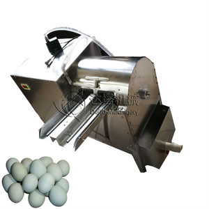 Automatic Egg Washer Mini Egg Washing Cleaning Machine